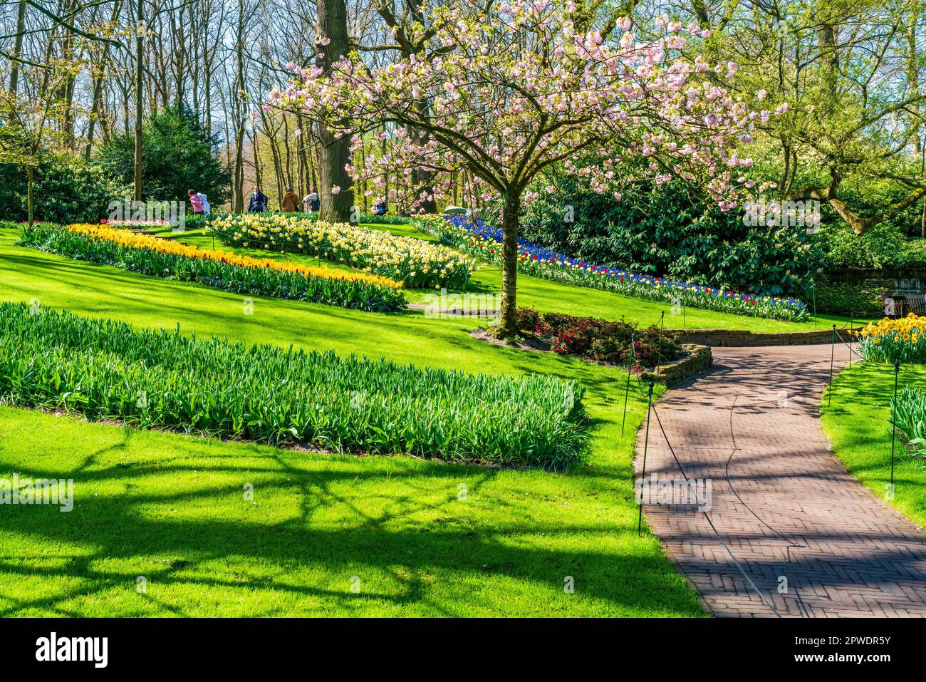LISSE, HOLLAND 19. APRIL 2023 Der Keukenhof, auch bekannt als der