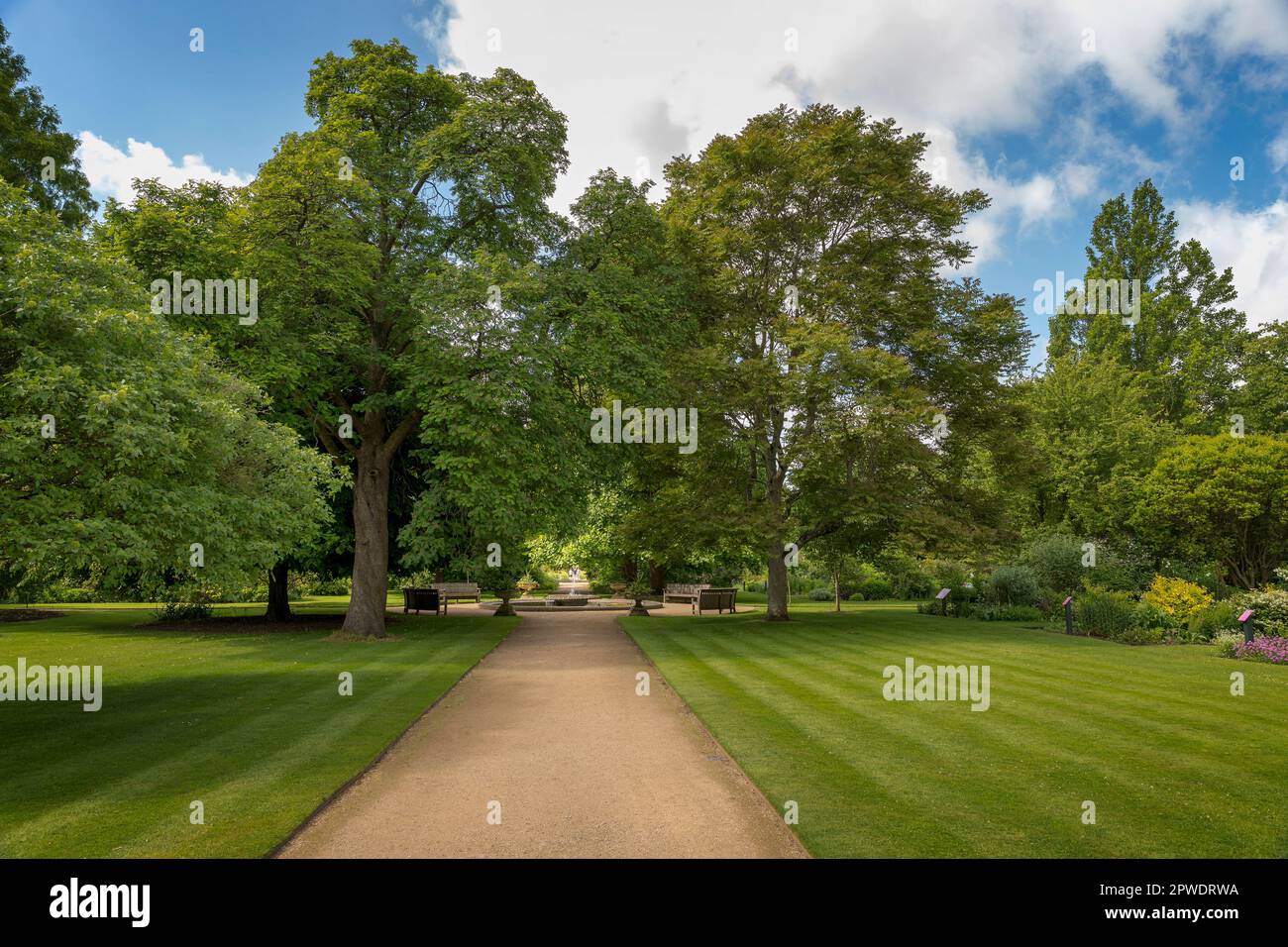 In der Oase der Oxford Botanic Gardens Stockfoto