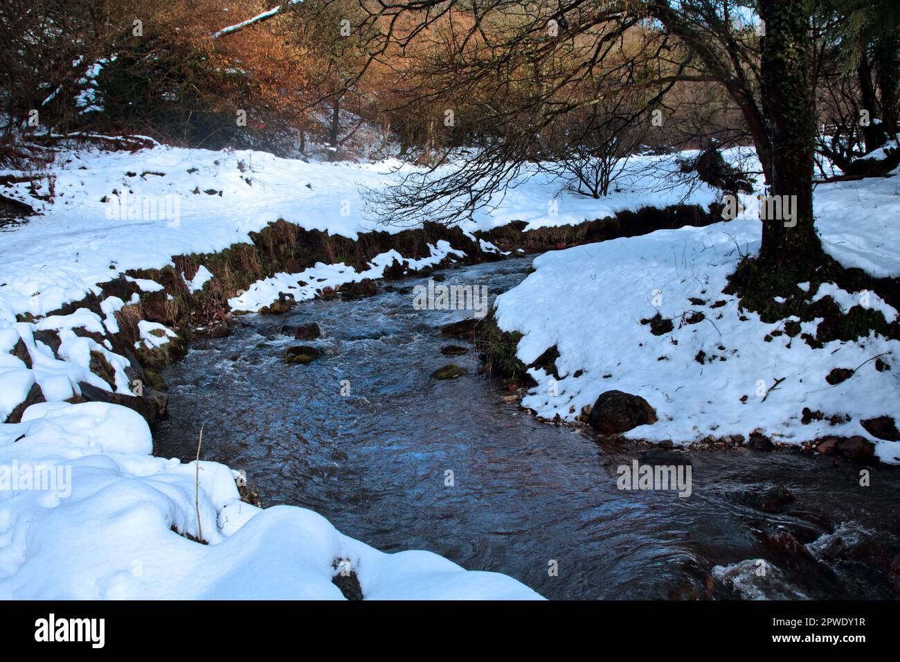 Schnee am Fluss Clwedog, Nant Mill Woods, Coedpoeth, Wales Stockfoto