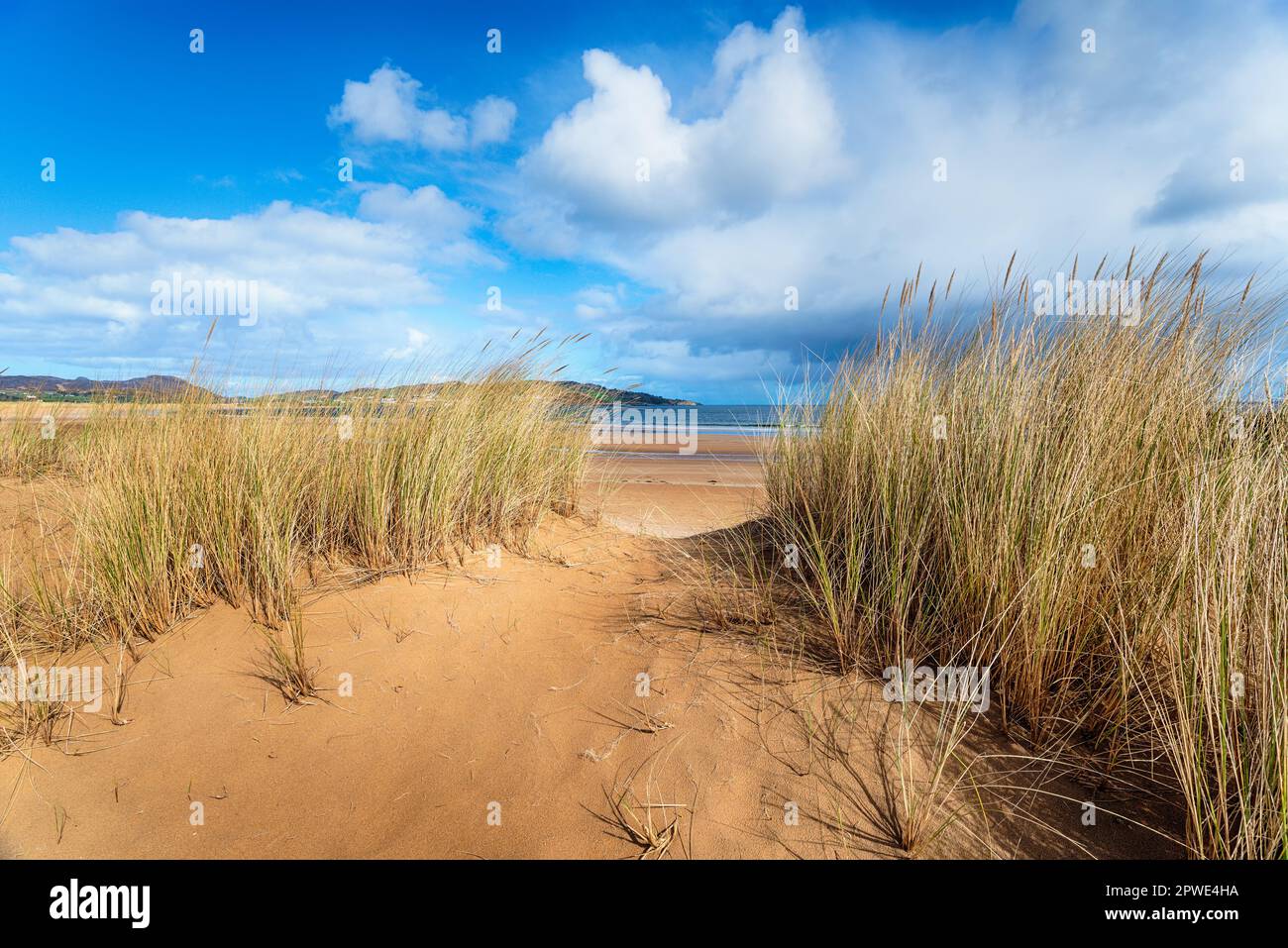Sanddünen am Portsalon Beach in Donegal und auf der Wild Atlantic Way Küstenroute durch Irland Stockfoto
