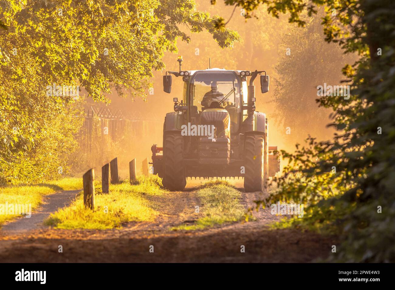 Traktor im goldenen Sonnenaufgang, trübes Licht. Landwirtschaftliches Fahrzeug auf unbefestigter Straße am Morgen. Drenthe Niederlande. Stockfoto