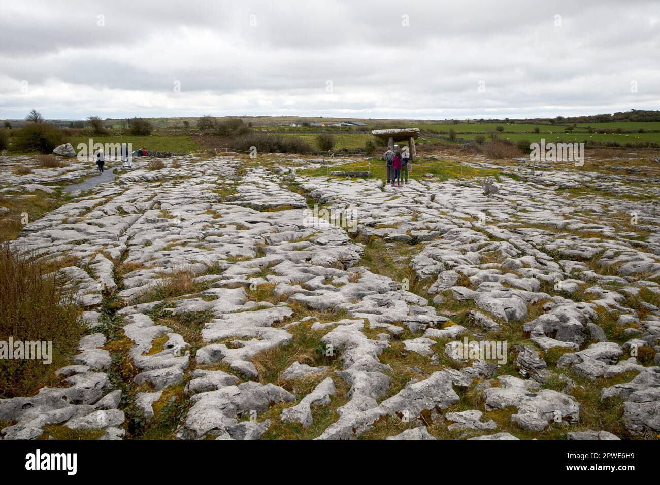 der kalksteinpflaster von burren im Poulnabrone dolmen County clare republic of ireland Stockfoto