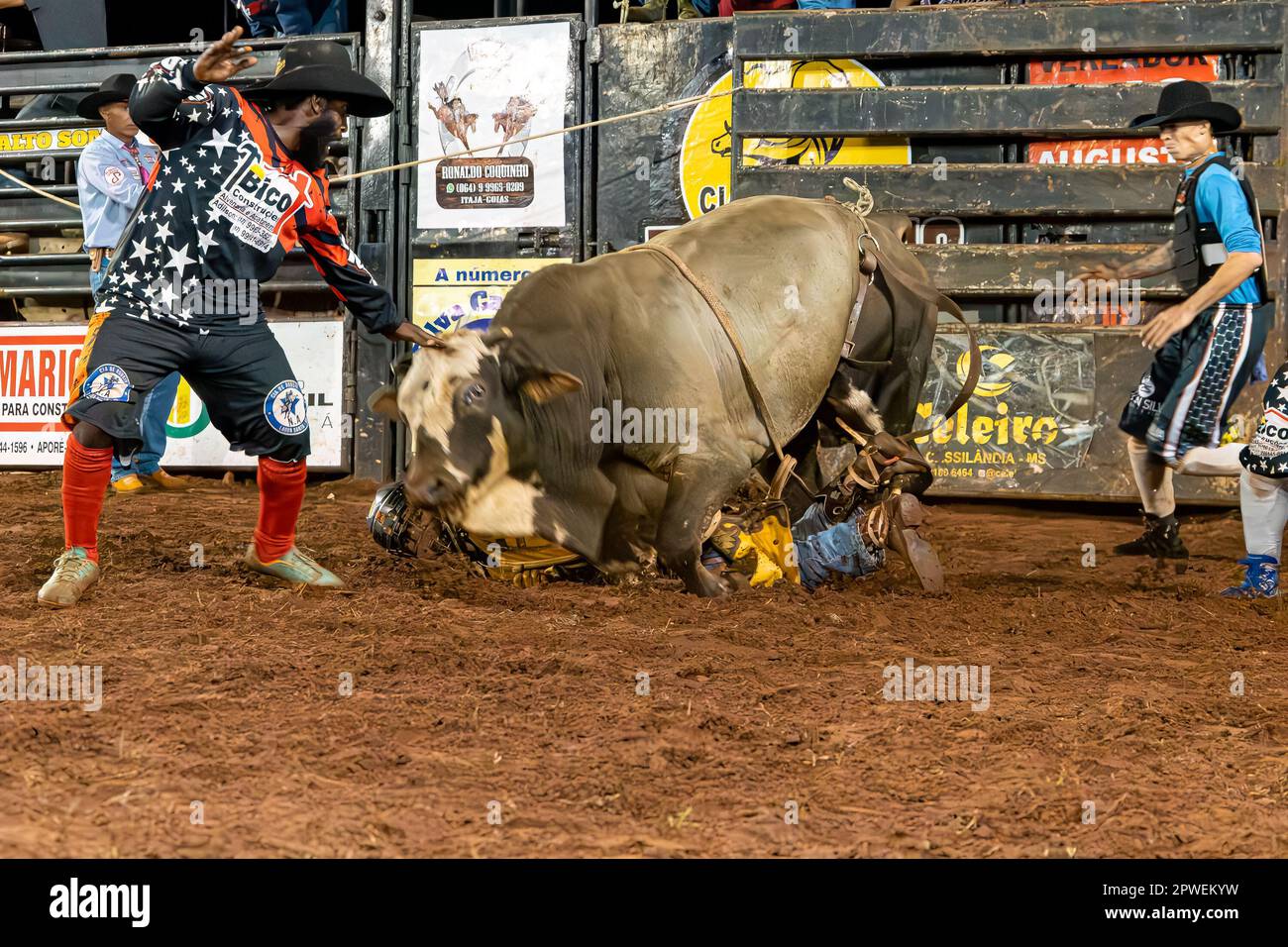 Itaja, Goias, Brasilien - 04 21 2023: Bulle springt auf Bullenreitunfall-Wettbewerber Stockfoto