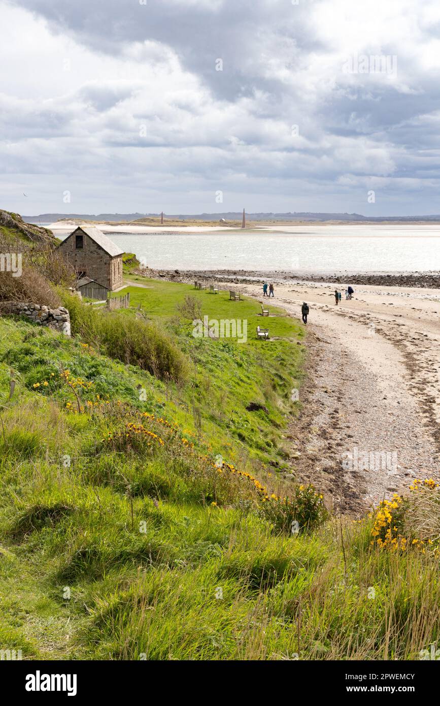 Lindisfarne Beach; Menschen, die am Strand an der northumberland Coast, Lindisfarne, Holy Island, Northumberland UK spazieren Stockfoto