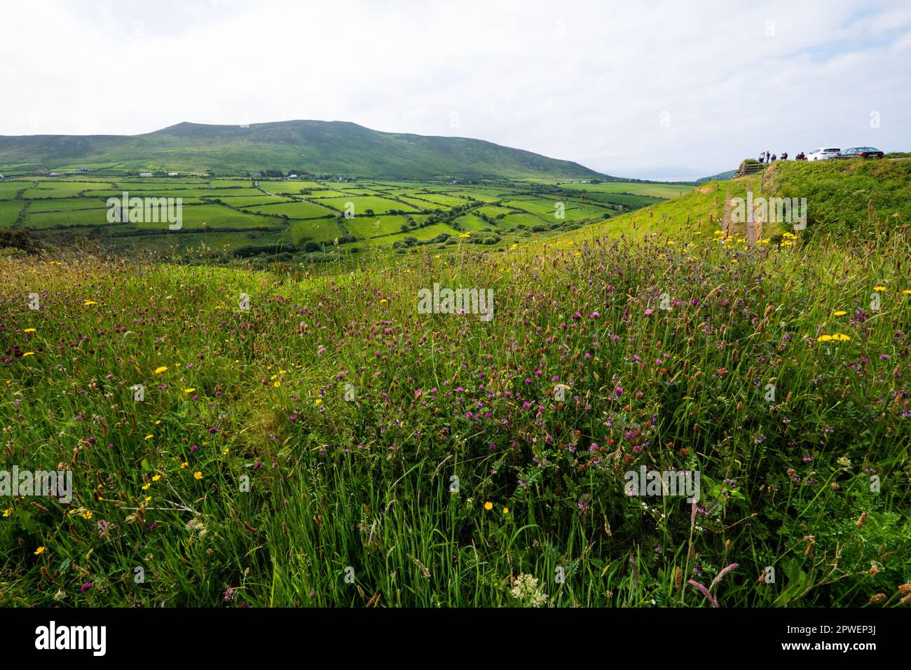 Irische Landschaft der Rolling Green Hills Stockfoto
