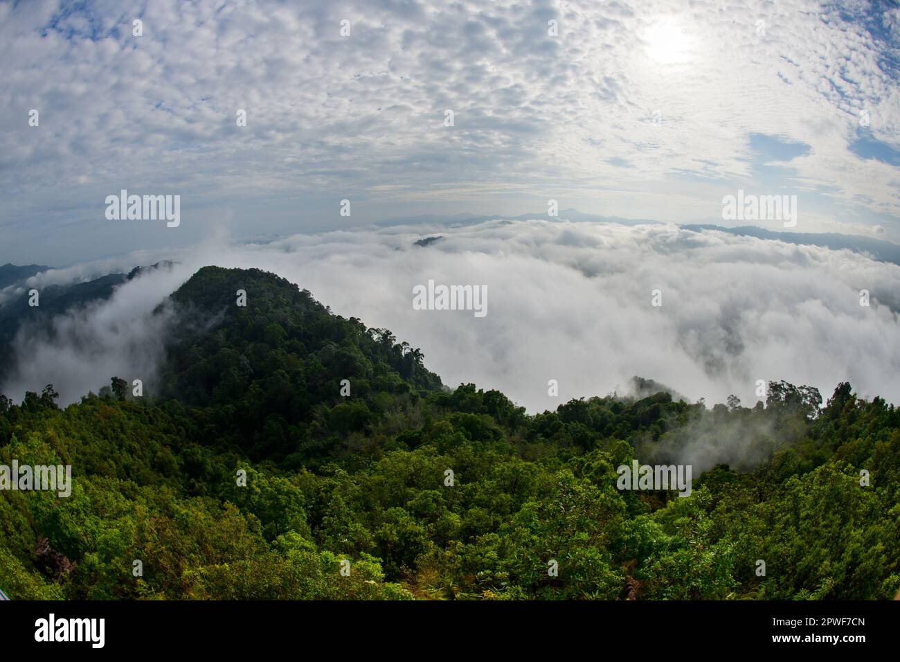 Wunderschönes Meer aus Nebel und Wald, Blick vom Aiyoeweng Aussichtspunkt, Yala Provinz, Thailand Stockfoto