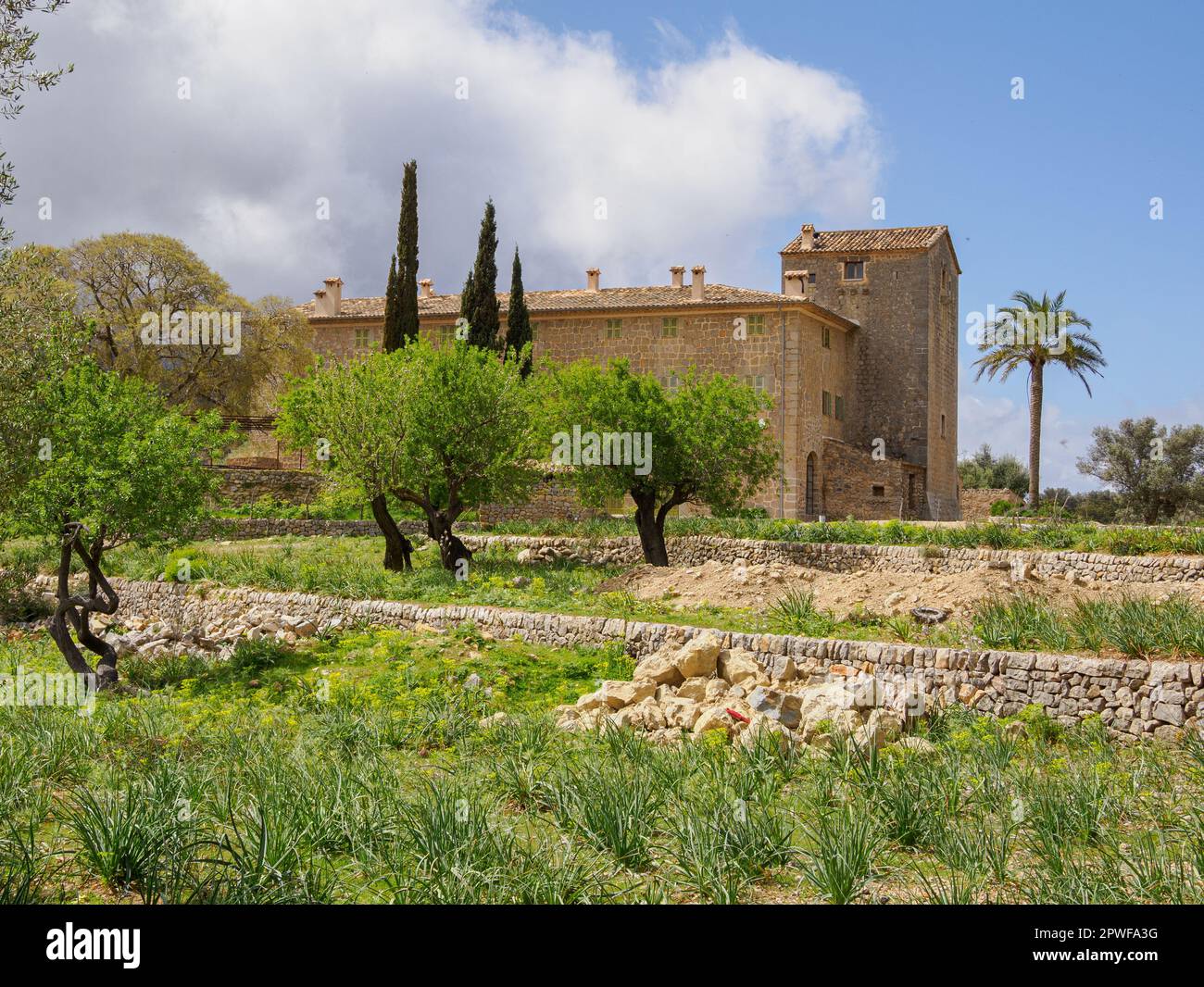 Großes Landhaus, umgeben von Olivenhainen in der Nähe von Deia an der Nordküste Mallorcas, Spanien Stockfoto