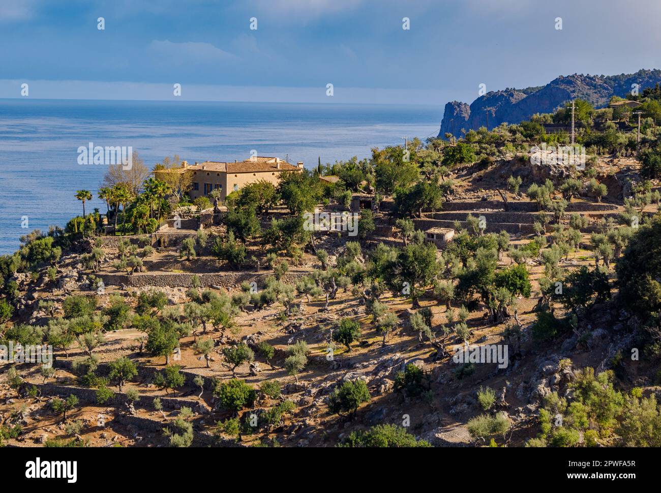 Großes Landhaus mit Blick auf das Meer und umgeben von Oliventerrassen in der Nähe von Deia an der Nordküste von Mallorca Soain Stockfoto