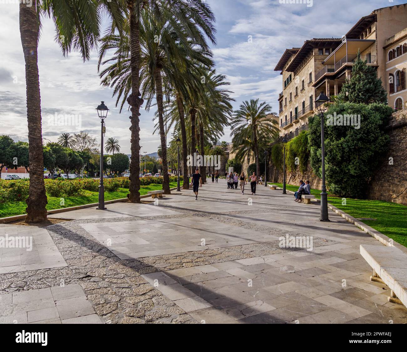 Stilvolle palmengesäumte Promenade und Park in Palma Mallorca auf den spanischen Balearen Stockfoto