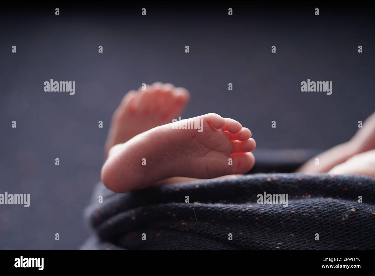 Kleines Baby barfuß gekreuzt auf einer marineblauen Decke. Nahaufnahme des Fußes des Babys das Baby ist bequem in eine blaue Decke gewickelt. Neu Stockfoto