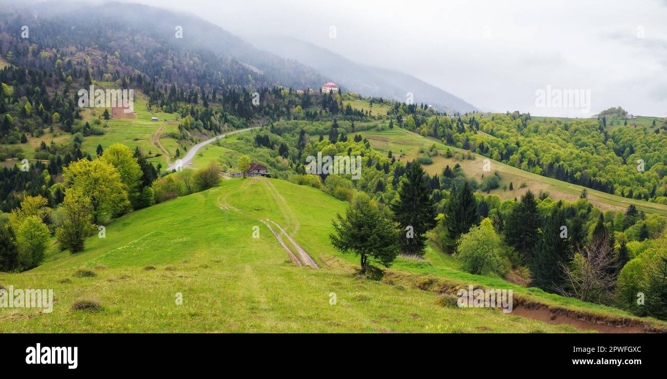 Naturlandschaft mit bewaldeten Hügeln. Blick in das entfernte Tal der karpaten. Üppige Wiesen. wolkiger Himmel Stockfoto