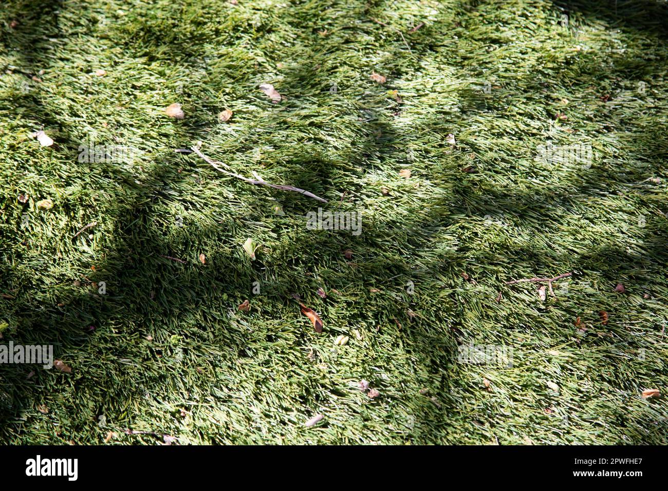 Künstliches Gras grenzt an einer Straße in Chiswick, West London, Großbritannien Stockfoto