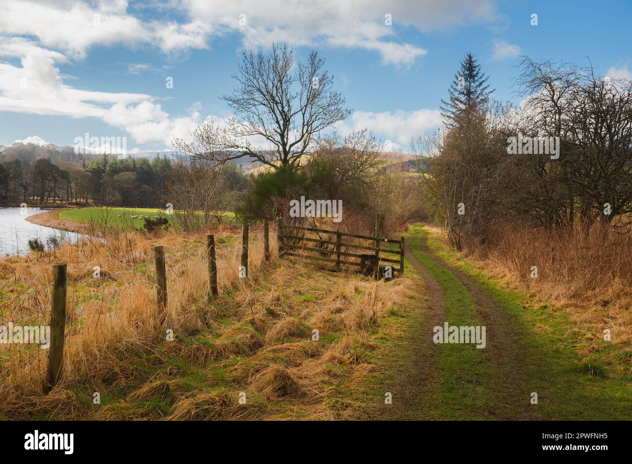 Eine alte, leere, unbefestigte Landstraße in der ländlichen, ländlichen Landschaft von Peebles am Fluss Tweed, an der schottischen Grenze, Schottland, Großbritannien. Stockfoto