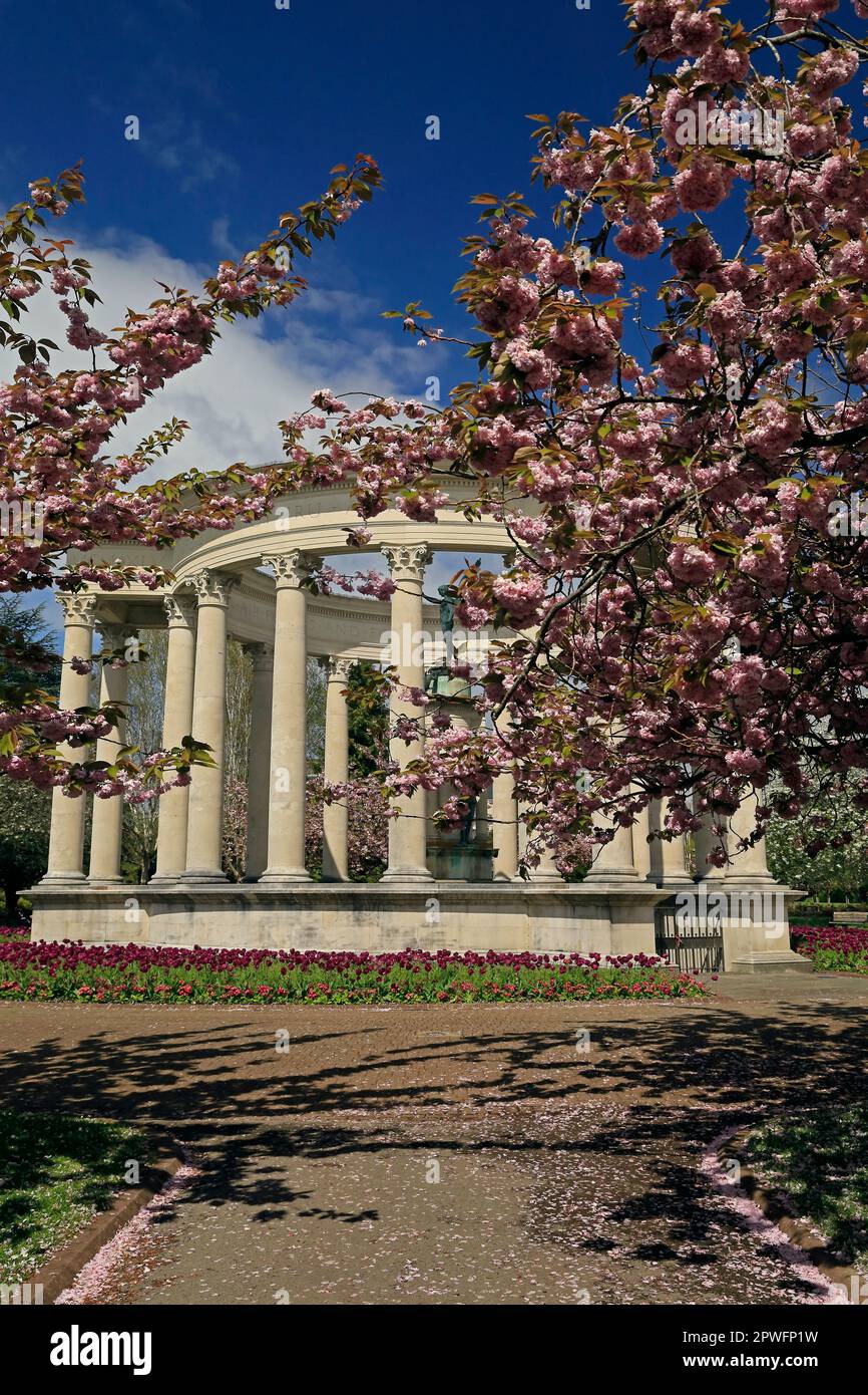 National war Memorial of Wales, Alexandra Gardens, Cathays Park Cardiff mit Kirschblüte, aufgenommen am 2023. April. Frühling Stockfoto