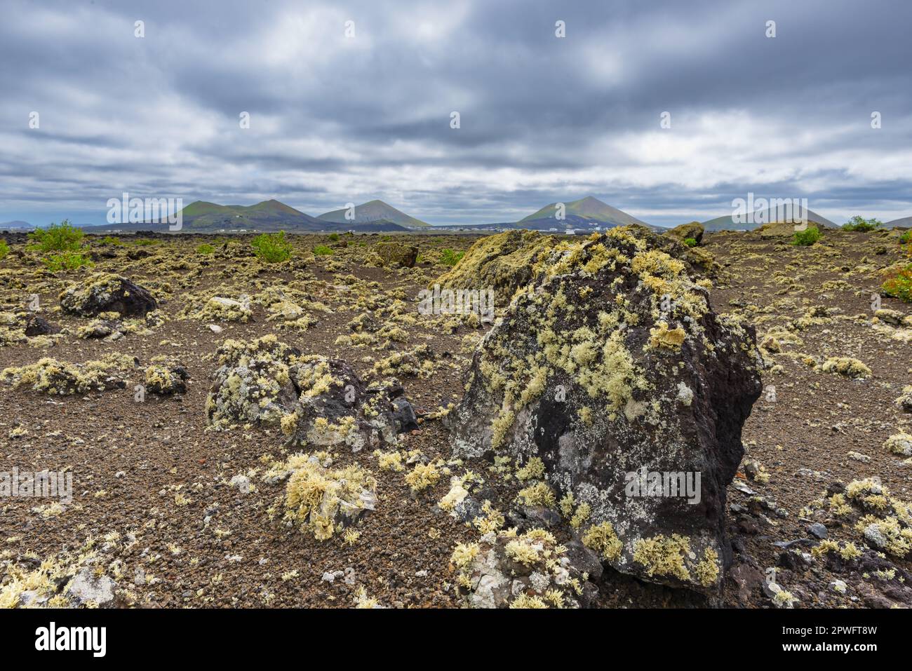 Lavafeld Mit Lichen, Parque Natural De Los Volcanes, Nahe Masdache, Lanzarote, Kanarische Inseln, Spanien, Europa Stockfoto