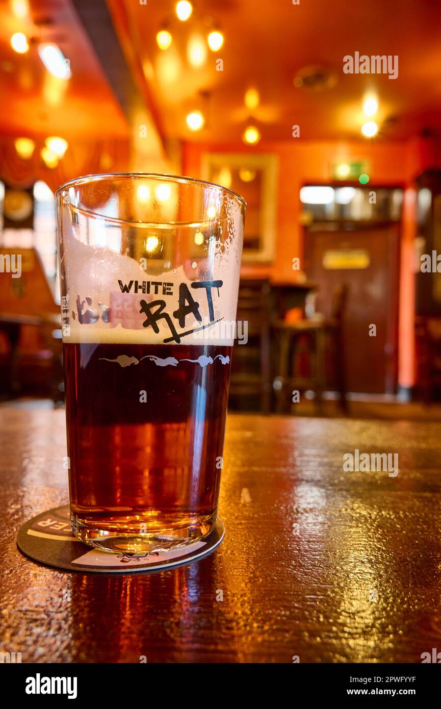 Ein Glas Bier auf dem Tisch in der Bar, das von warmem künstlichem Licht beleuchtet wird Stockfoto