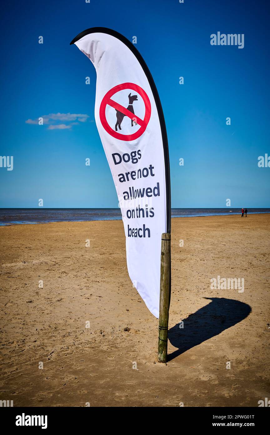 Hundeverbot am Strand St. Annes in den Sommermonaten Stockfoto