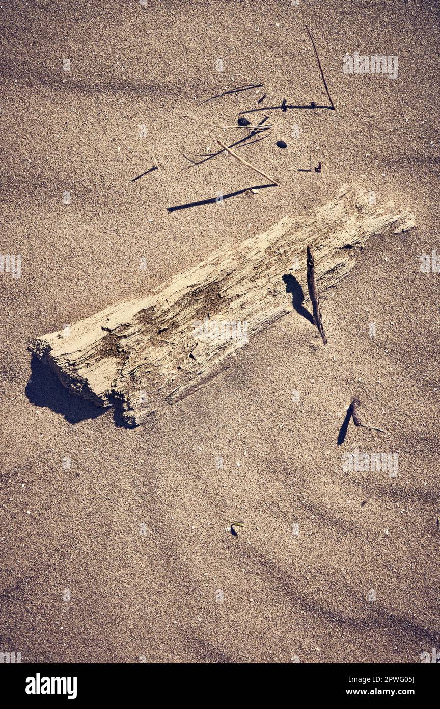 Ein Stück altes Treibholz, halb in geblasenem Sand begraben Stockfoto