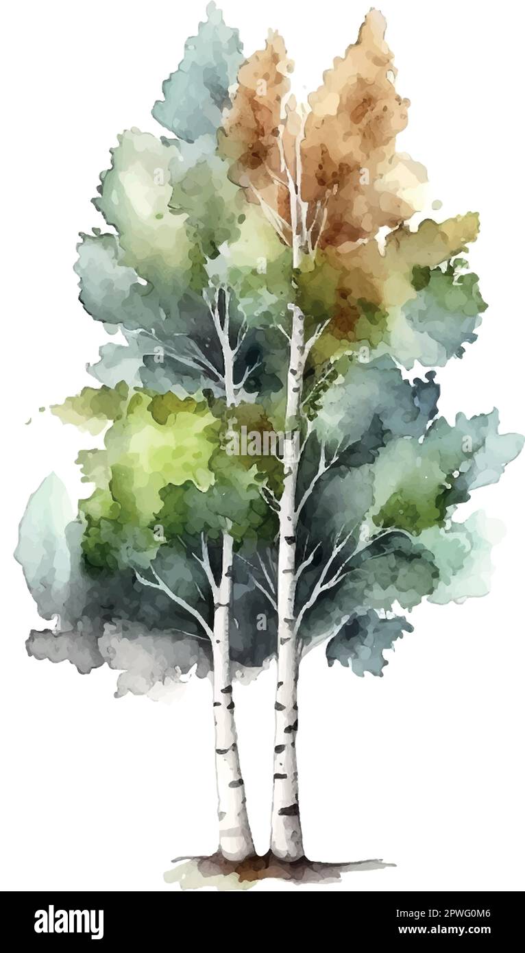 Aquarell Birkenbäume Russland Baum Designelement für Tapeten, Website Hintergrund Vektordarstellung. Stock Vektor