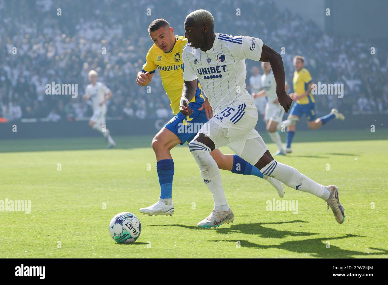 Kopenhagen, Dänemark. 30. April 2023. Mohamed Daramy (15) vom FC Kopenhagen, gesehen während des Superliga-Spiels 3F zwischen dem FC Copenhagen und Broendby IF in Parken in Kopenhagen. (Foto: Gonzales Photo/Alamy Live News Stockfoto