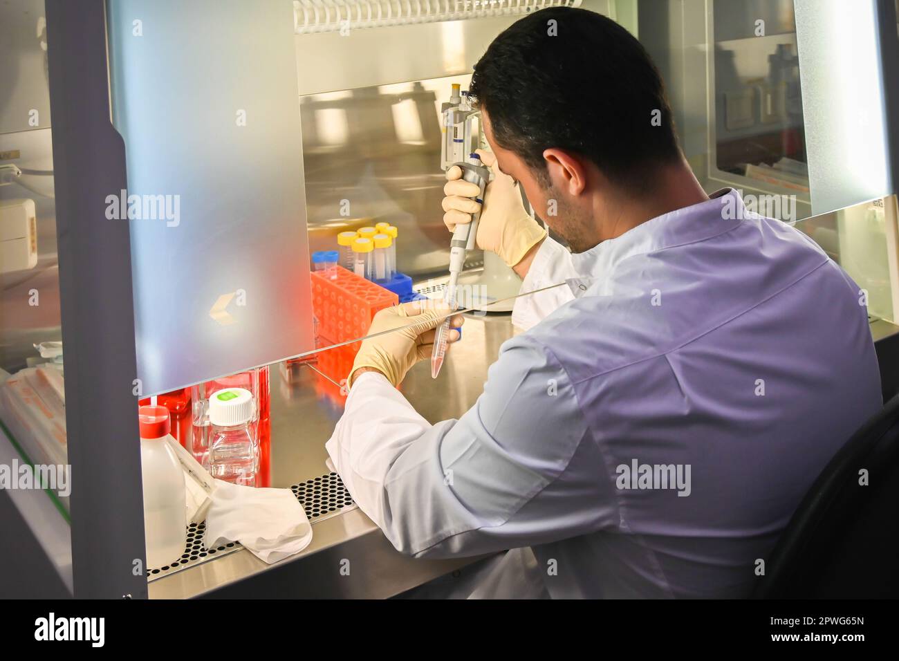 Arbeiten Sie in einem Laminar-Karton. Laborausrüstung für die Untersuchung von Zellkulturen. Stockfoto