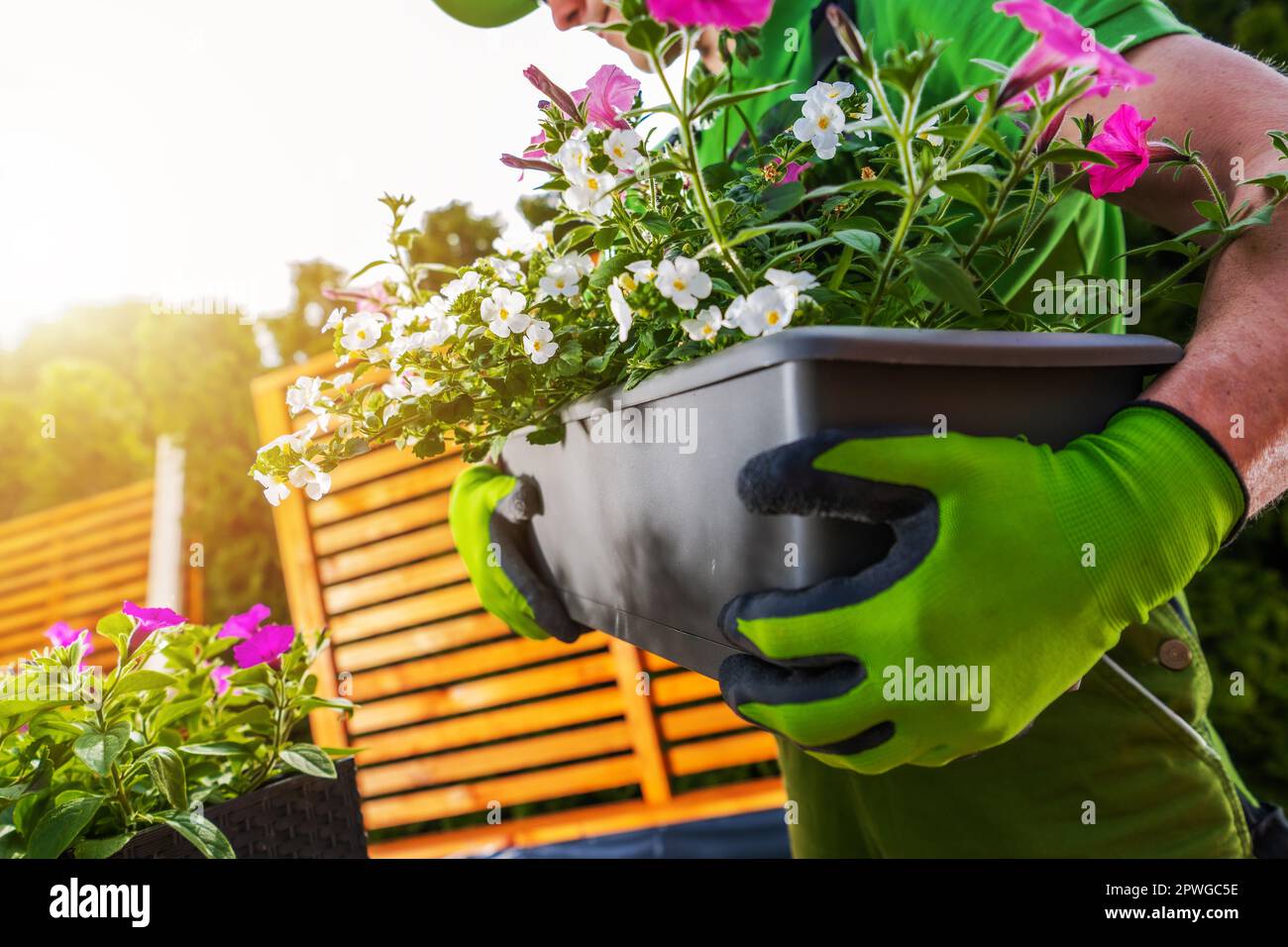 Der Weiße Mann Organisiert Seinen Gartenbereich Und Bringt Blumenplantagen An Neue Orte. Stockfoto