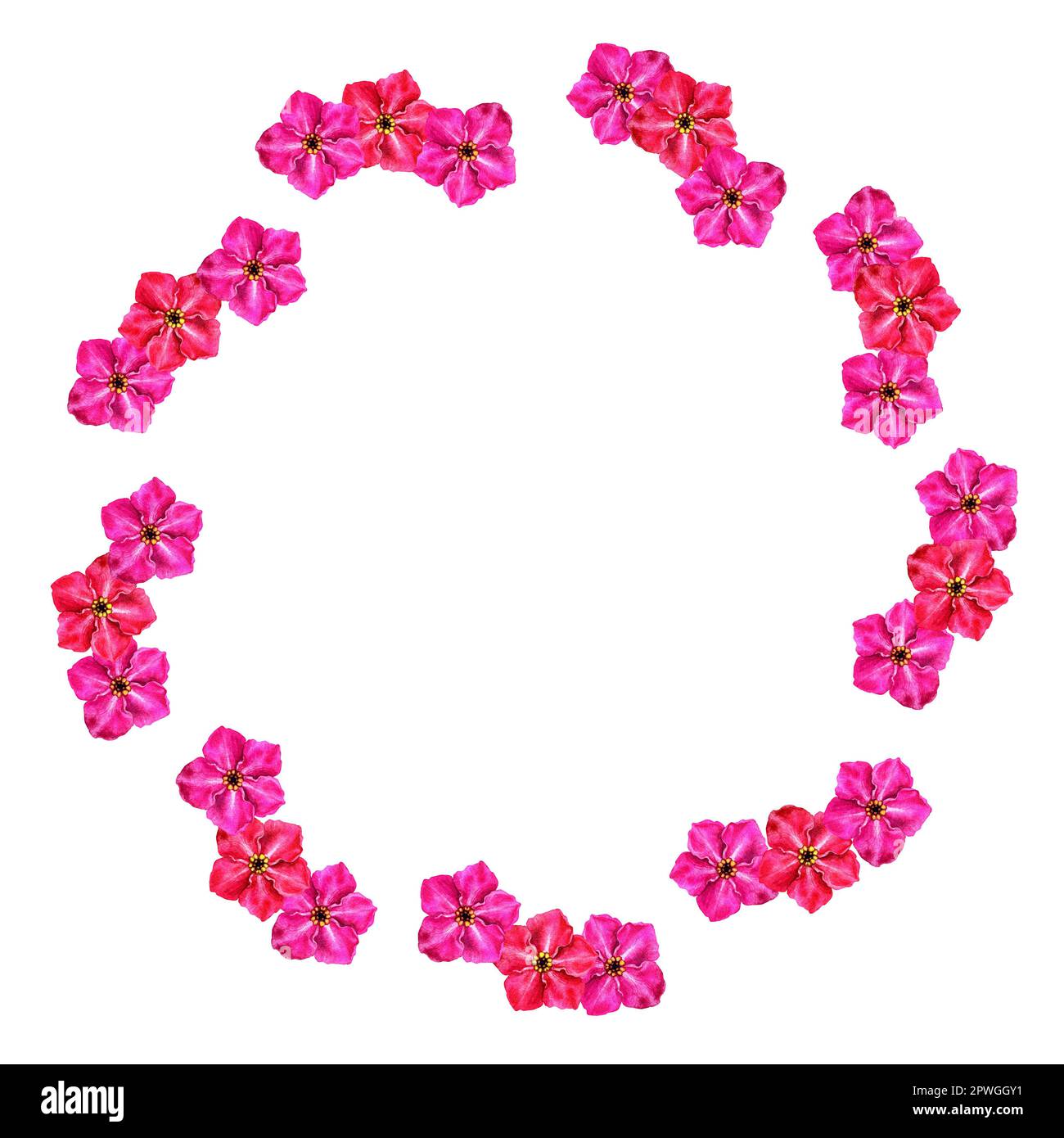 Aquarelle Blumenkreise Rahmen aus „Vergessen Sie mich nicht“-Blumen für Geburtstag, Hochzeit, valentinstag, Muttertag. Auf weißem Hintergrund isolierte Elemente Stockfoto