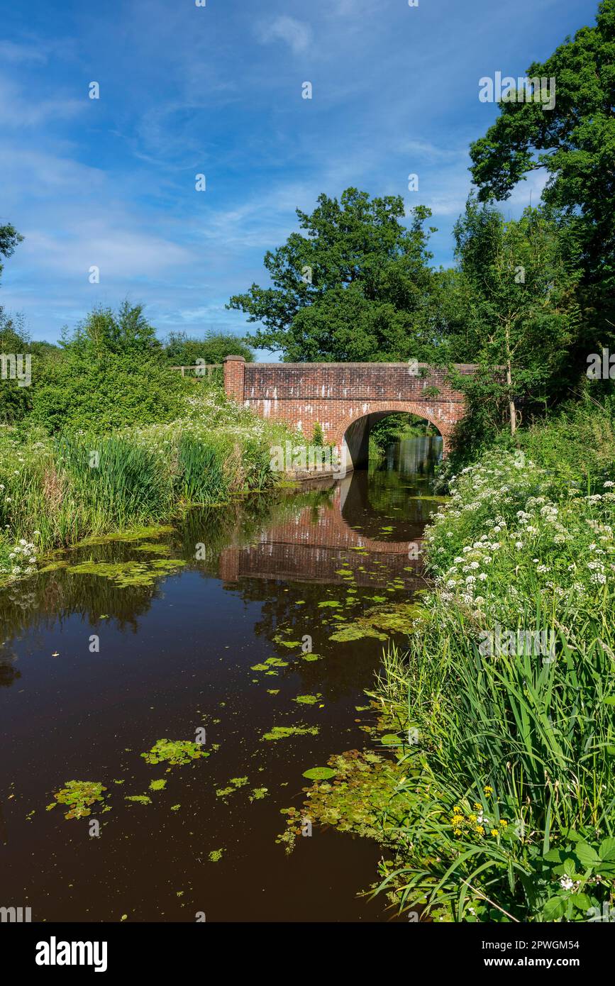 Der Kanal und die Straßenbrücke direkt östlich von Drungewick Aqueduct am Wey & Arun Kanal in West Sussex Stockfoto