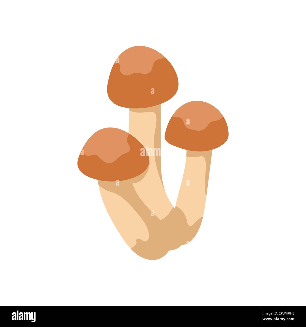 Pilze mit braunen Hüten zur Darstellung von Arbeitsblattvektoren Stock Vektor
