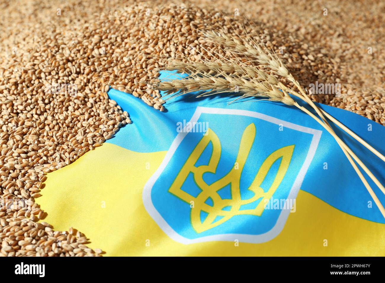 Staatsflagge der Ukraine auf Weizenkörnern, Schließung. Das Konzept der globalen Nahrungsmittelkrise Stockfoto
