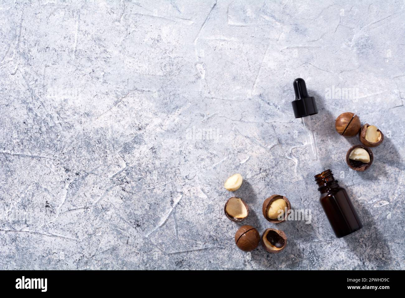Natürliches Macadamia-Nussöl in einer Flasche. Kosmetiköl. Draufsicht Macadamianüsse auf grauem Hintergrund Stockfoto