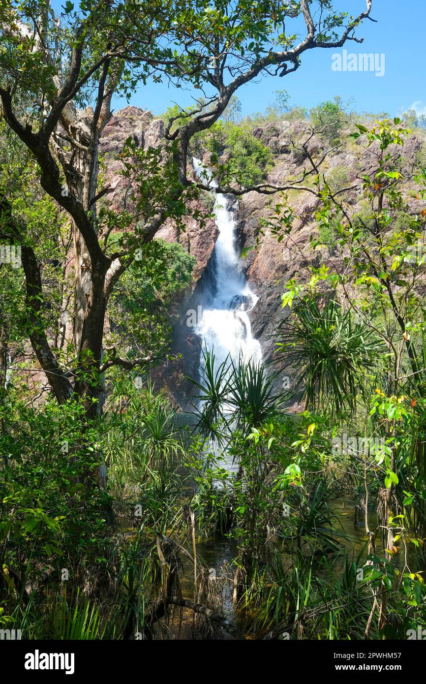 Wangi Falls im Litchfield National Park, Northern Territory of Australia Stockfoto