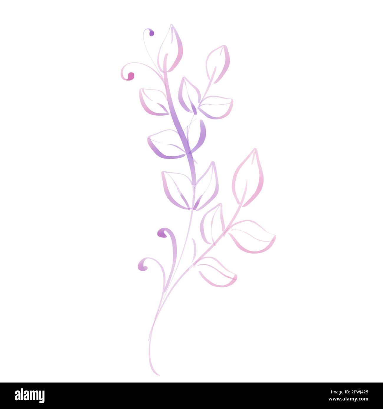 Rosafarbene Kritzelelemente mit Blättern. Handgezeichnete Linie für Blumendekorationen, Rahmen, Designs. Stockfoto
