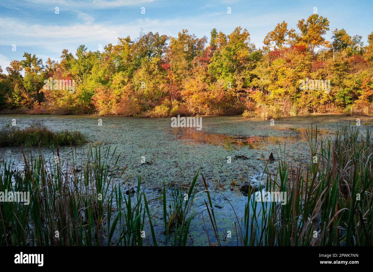 Mammoth Cave National Park Kentucky Stockfoto