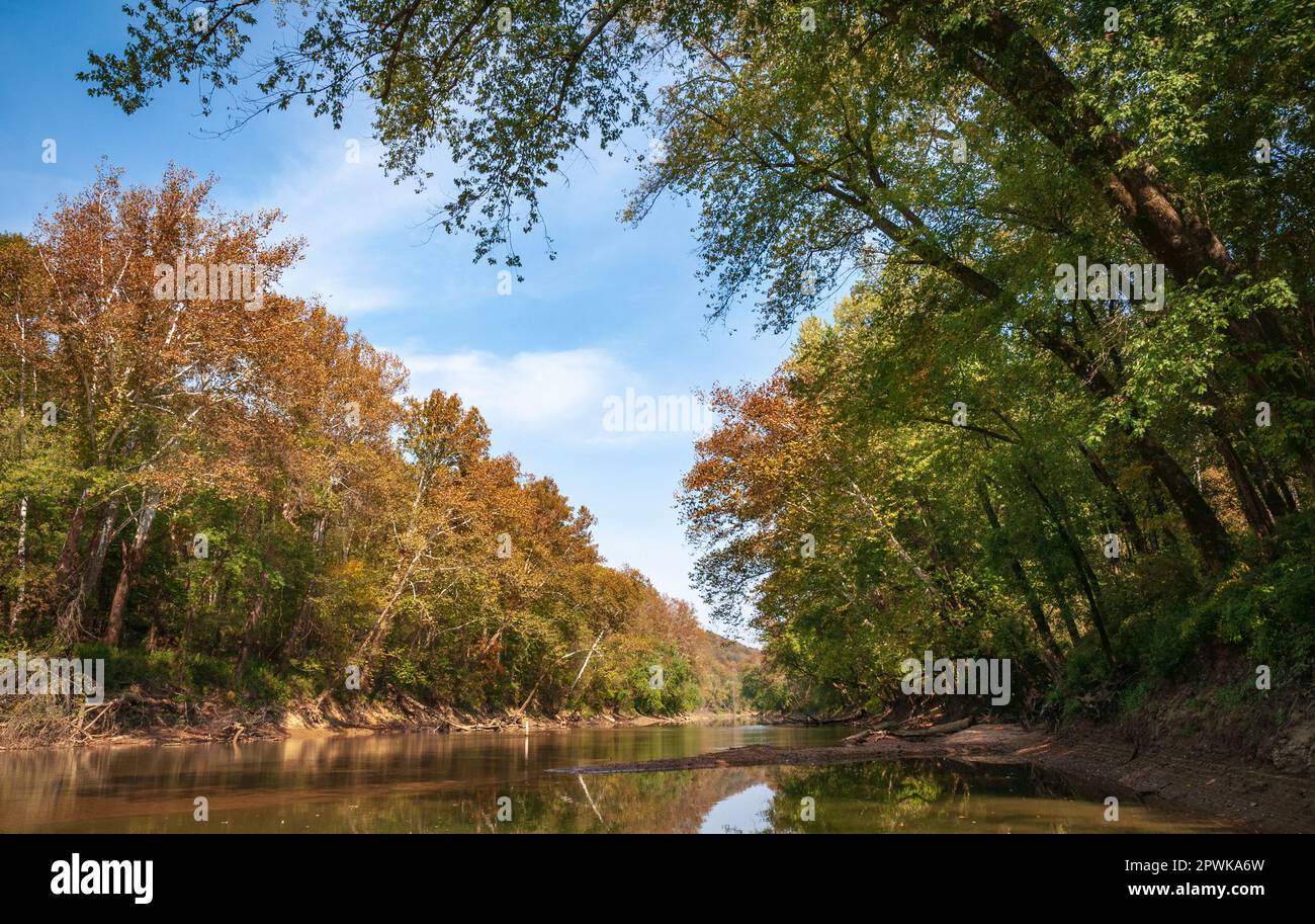 Mammoth Cave National Park Kentucky Stockfoto