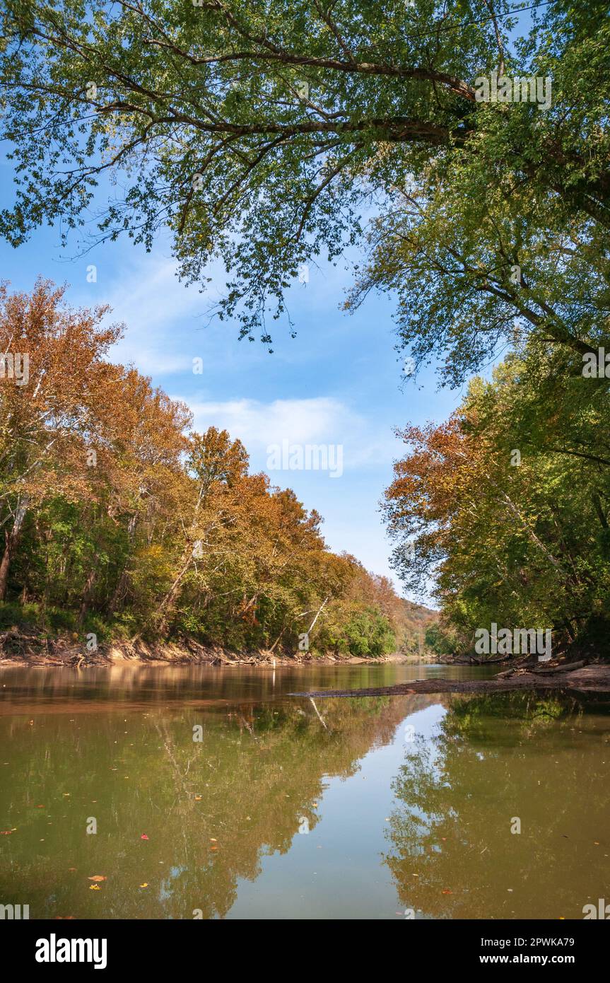 Mammoth Cave National Park Kentucky Stockfoto