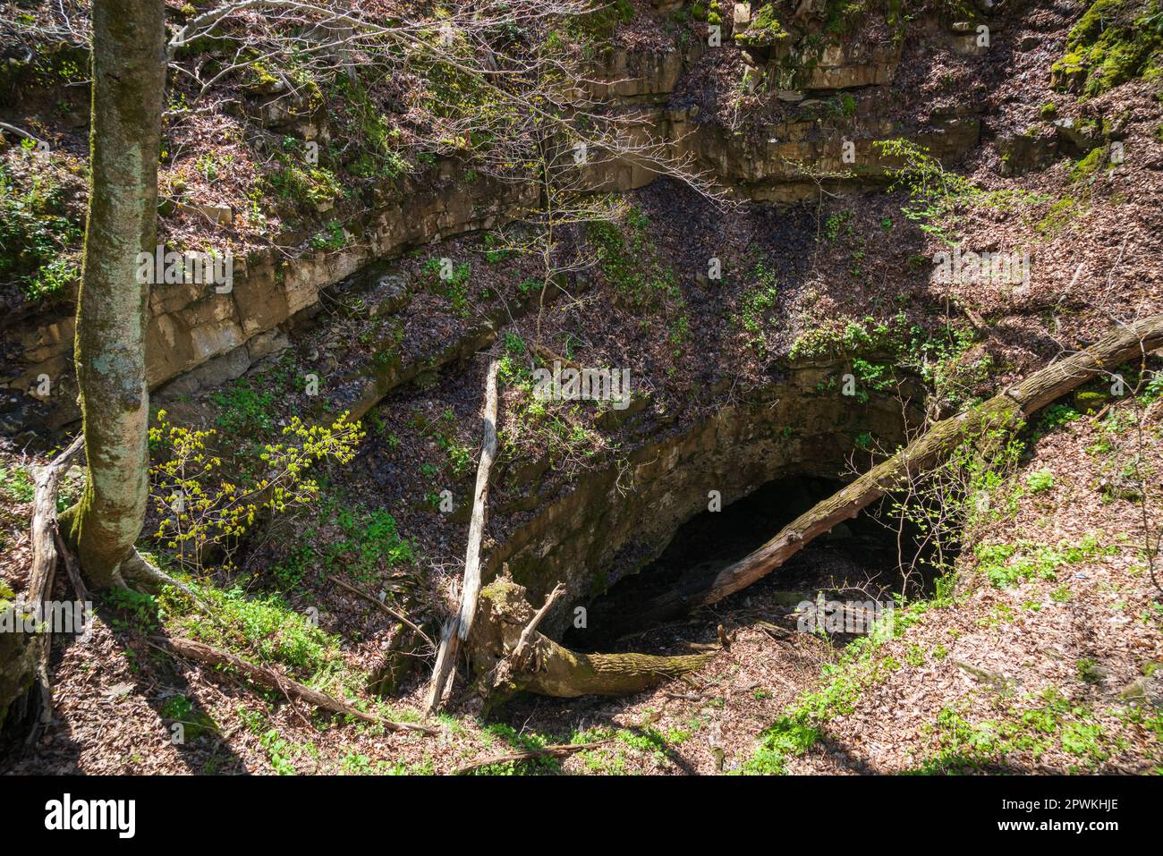 Mammoth Cave National Park Kentucky Stockfoto