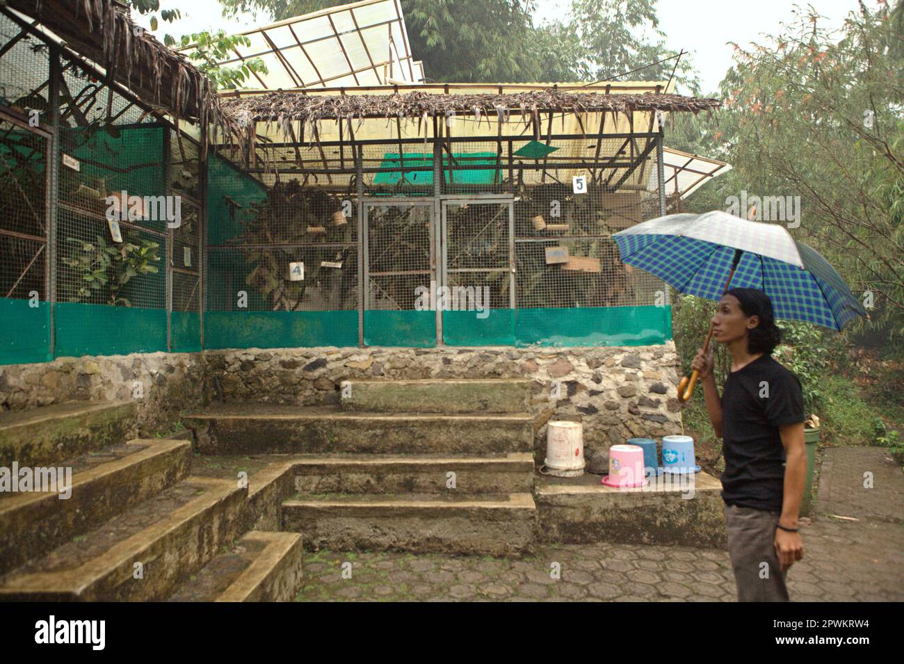 Ein Naturschützer trägt einen Regenschirm, während er in der Nähe der Habituation Cages von langsamen Loris in einem Rehabilitationszentrum für Wildtiere steht, das von International Animal Rescue (IAR) in Ciapus, Bogor, West Java, Indonesien betrieben wird. Die Primaten wurden aus dem Handel mit Wildtieren gerettet und befinden sich in einer Übergangsphase, die es ihnen ermöglicht, in die Wildnis freigelassen zu werden. Slow Loris ist eine nachtaktive Art, giftig und könnte Zoonosen auf den Menschen übertragen. Die Primaten haben laut Wissenschaftlern keine Eigenschaften wie Haustiere, also werden sie wahrscheinlich tot sein... Stockfoto