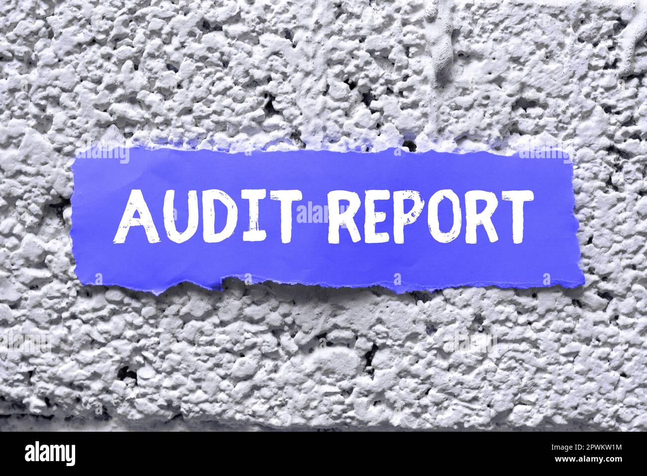 Text mit dem Inspiration Audit Report, Word für eine Beurteilung des vollständigen Finanzstatus eines Unternehmensvermögens Stockfoto