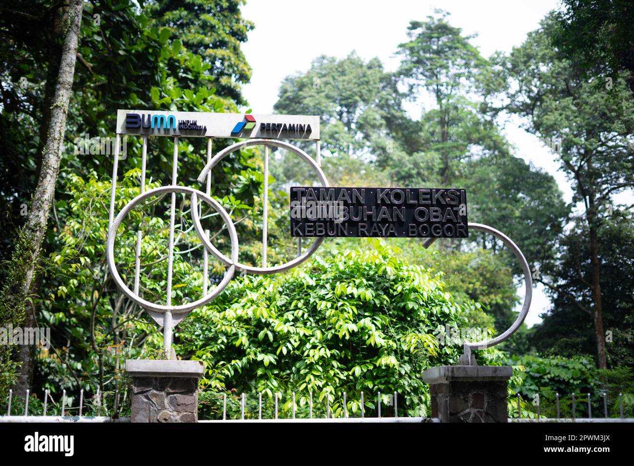 Ein Zeichen aus der Sammlung der Bogor Botanical Gardens von Heilpflanzen Stockfoto