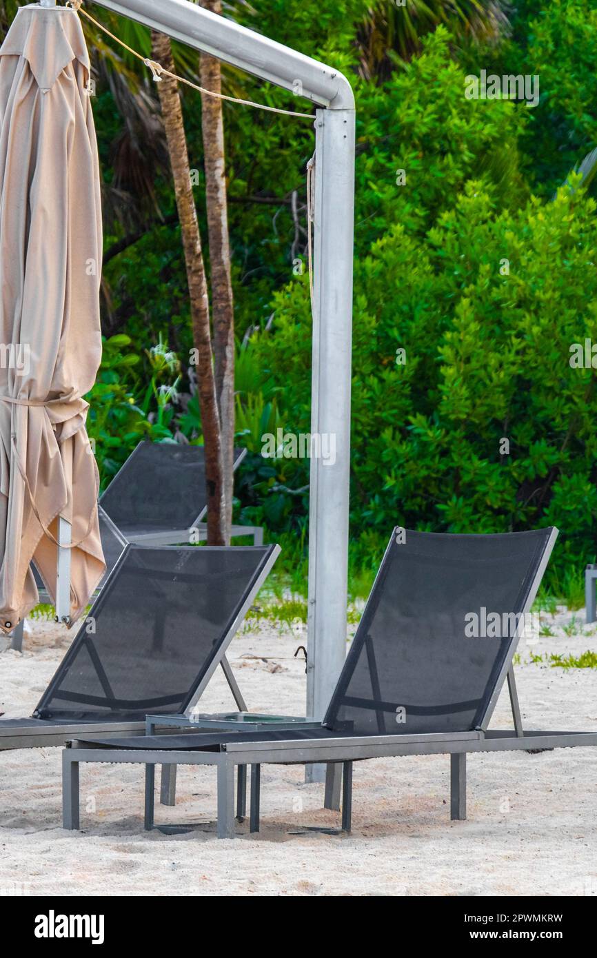 Palmen Sonnenschirme Sonnenschirme Sonnenschirme Sonnenschirme und Liegestühle im Strandresort Hotel am tropischen mexikanischen Strand in Playa del Carmen Mexiko. Stockfoto