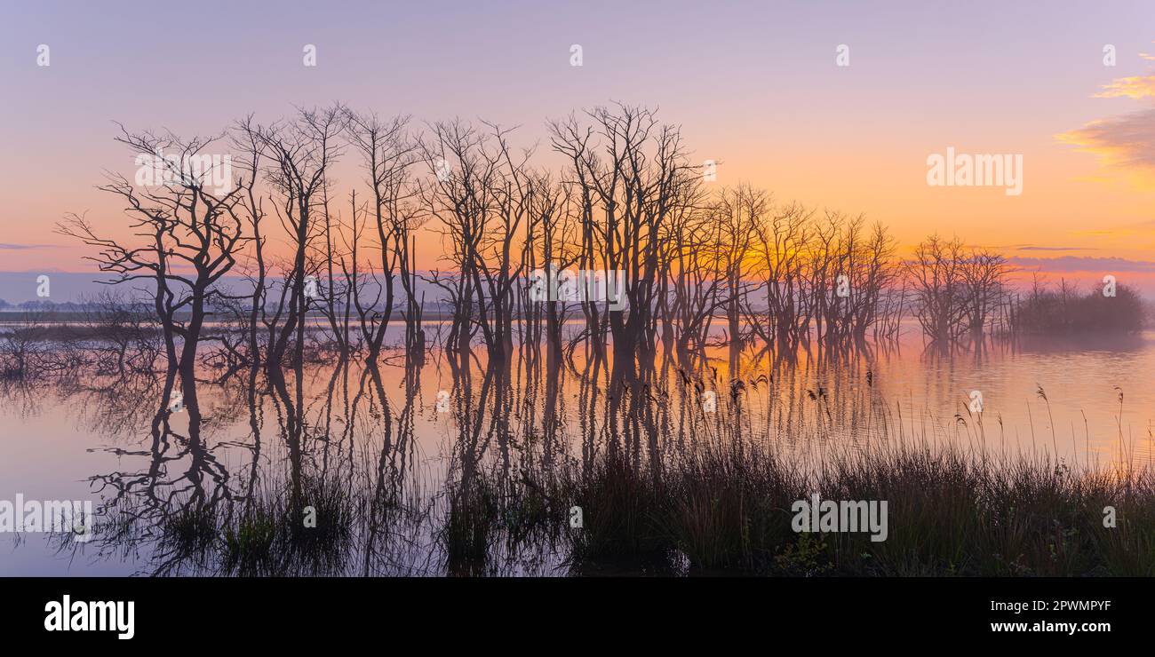 Ein Frühlingsvormittag und ein schöner Sonnenaufgang im 2:1-Format in Tusschenwater, einem Naturschutzgebiet in der Gemeinde Tynaarlo in der niederländischen Provinz Dre Stockfoto