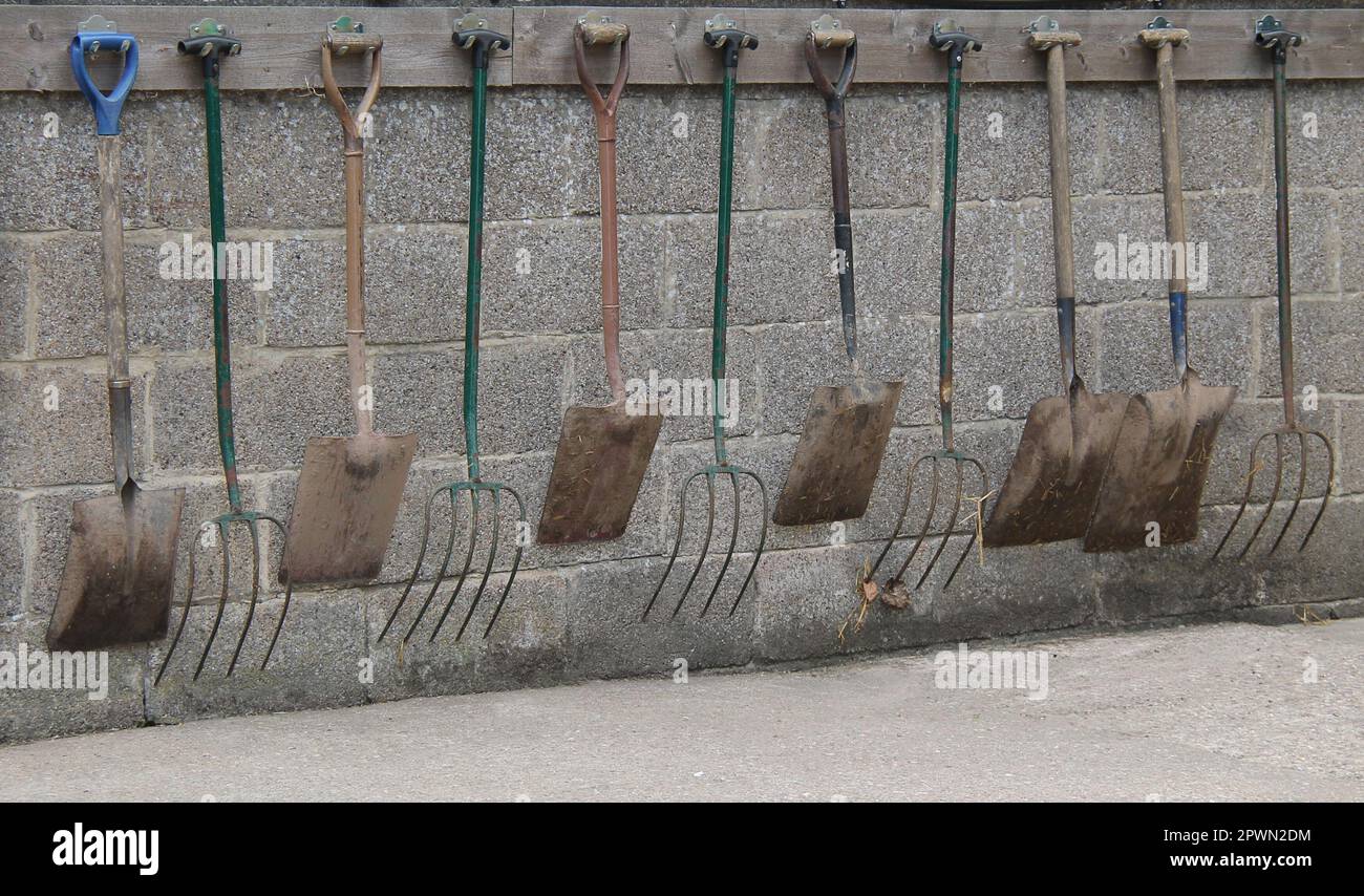 Gabeln und Spaten zum Ausrotten von Pferdeställen. Stockfoto