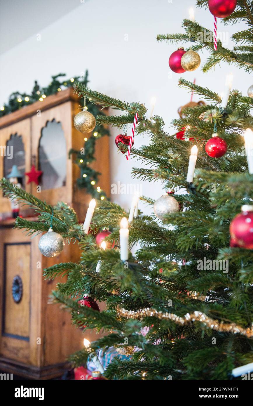 Weihnachtsbaum im Wohnzimmer Stockfoto