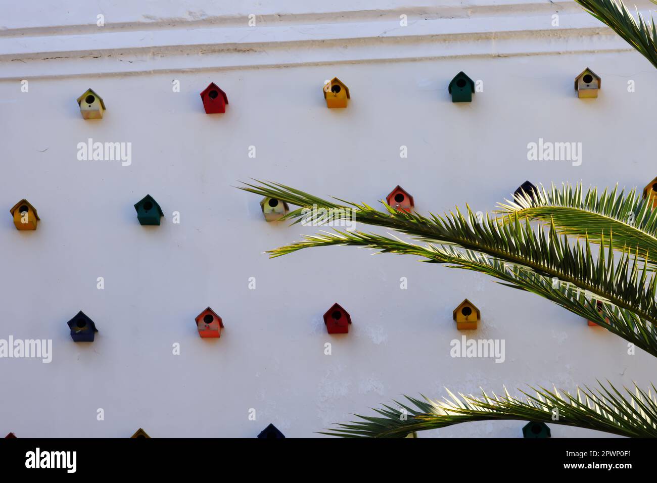 Farbenfrohe Vogelhäuser hängen an einer weißen Wand an einem sonnigen Sommertag im Freien, um die Palme an einem sonnigen Sommertag zu sehen Stockfoto