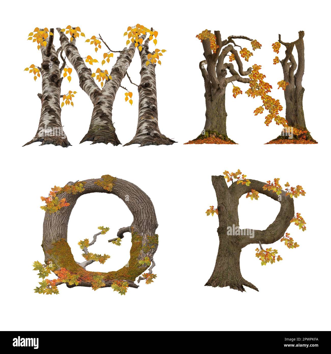 3D Abbildung des Alphabets des alten Herbstbaums – Buchstaben M-P Stockfoto