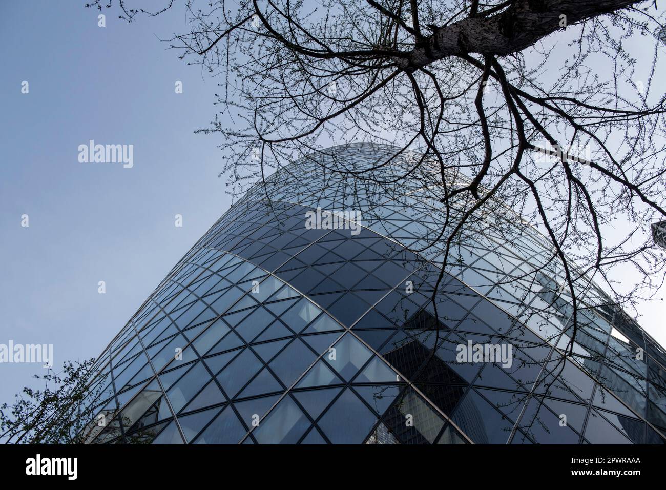 Nahaufnahme des Gherkin-Gebäudes in der Stadt london. Die Glasscheiben erscheinen gekrümmt, sind es aber nicht. Stockfoto