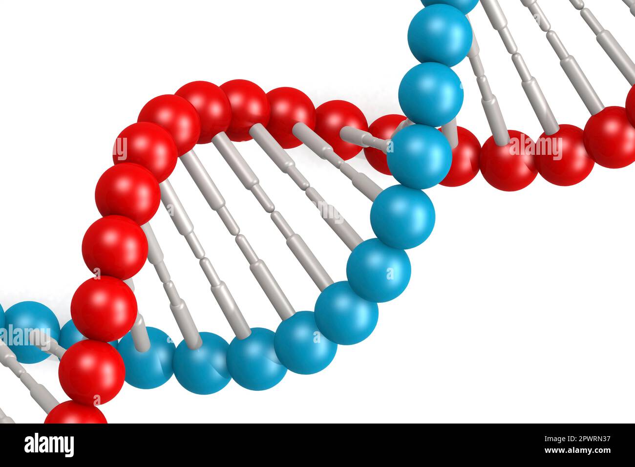 DNA-Modell mit blauen und roten Elementen, 3D-Rendering Stockfoto