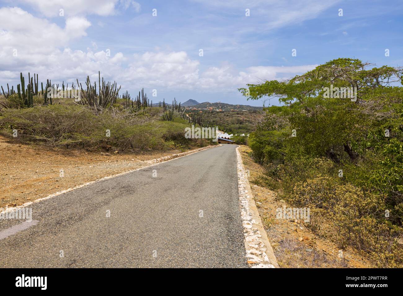 Wunderschöne Aussicht auf die Steinwüste des Naturparks auf der Insel Aruba mit Asphaltstraße für Fahrzeuge. Aruba. Stockfoto