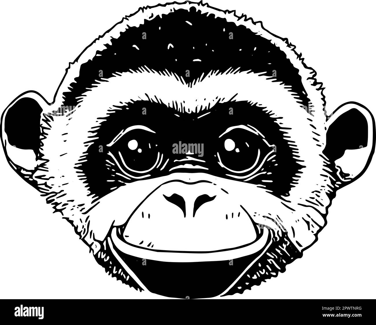 Gesicht eines lächelnden Affen. Vektorsymbol. Symbol in Schwarz vor transparentem Hintergrund. Stock Vektor